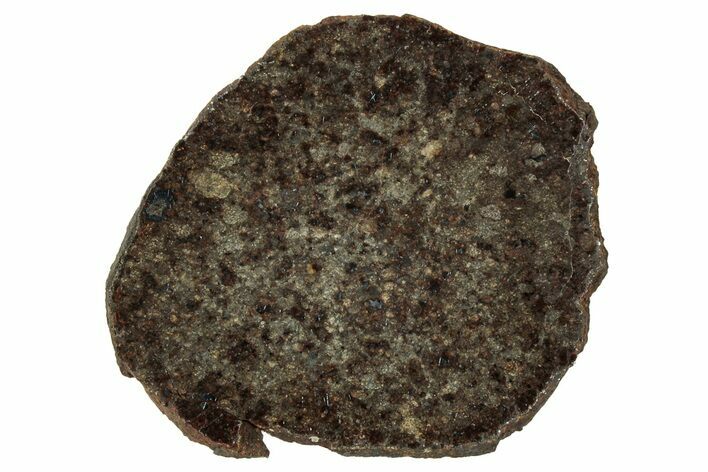 Polished Gold Basin Chondrite Meteorite Slice ( g) - Arizona #329354